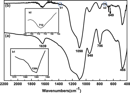 Figure 4. FT-IR spectra of (a) bare silica nanoparticles and (b) hybrid silica nanoparticles coated with P(SPMA-co-MAA).