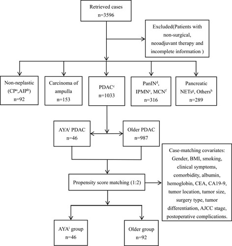 Figure 1 Study flow chart. Search results of patients with space-occupying lesions of pancreatic who hospitalized in Xiangya Hospital Central South University from January 2007 to December 2019. A total of 1033 cases meet the inclusion and exclusion criteria. AYA PDAC 46 cases, older PDAC 987 cases. After propensity score matching (PSM), there were 46 cases in AYA group, 92 cases in Older group.