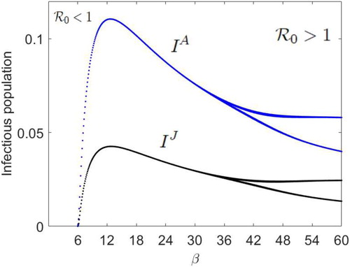 Figure 5. With initial population numbers, (S0J,I0J,S0A,I0A,V0)=(100,10,100,10,5), the disease-free equilibrium dynamics drives the ISAv disease equilibrium dynamics and the disease invades both the juvenile and adult populations via a fixed point attractor when βJ=βA=ηJ=ηA=β ∈(6.218,36), βV=0.01 and R0>1. As β increases past β ≈36 and R0>1, the positive fixed point undergoes an ISAv forced period-doubling bifurcation and the disease invades the juvenile and adult populations via a period 2 population cycle, where r=e4≈54.598, b=1,dJ=0.98, dA=0.9, dV=0.2, m = 0.3, θ1J=θ1A=0.6, θ2J=θ2A=0.01, θ3J=θ3A=0.39, μJ=0.7, μA=0.001, δJ=0.2 and δA=0.1.