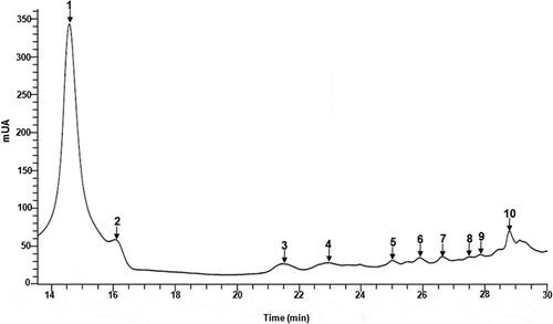 Figure 6. UPLC chromatograms of phenolic compounds in EP extract obtained using 1% CaCO3.Figura 6. Cromatogramas de UPLC de compuestos fenólicos de extractos de CB obtenidos con CaCO3 al 1%.