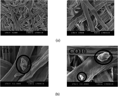 Figure 5. (A) SEM micrographs (200× and 500 ×) of the surfaces for Ag0. (b) SEM micrographs (2000×) of the surfaces for samples with 10 wt% of the studied additives.