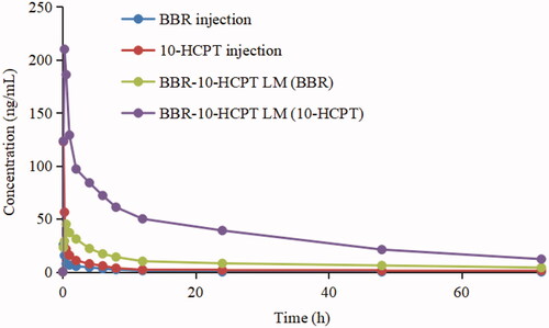 Figure 4. The rat plasma concentration versus time curves of BBR-loaded LM and BBR injection after intravenous administration.