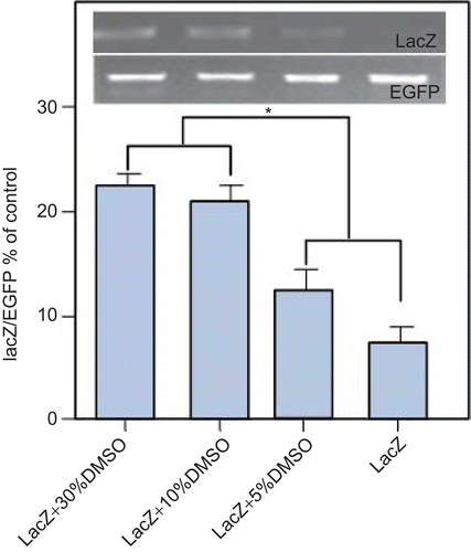 Figure 1.  After abdominal skin pre-treatment with depilatory cream, the hair of the rat was treated with RA every other day for 1 week, then the skin was treated with different concentrations of DMSO. At 24-h, RPMI1640 medium in each receptor compartment was collected as templates for PCR analysis. Higher concentration DMSO (10% or 30%) can promote better transdermal efficacy of plasmid DNA than lower concentration DMSO (0 or 5%). The 10% concentration of DMSO was the optimal transdermal delivery formula for further examination in vivo. * p < 0.05. n = 3, bars show mean ± SEM.