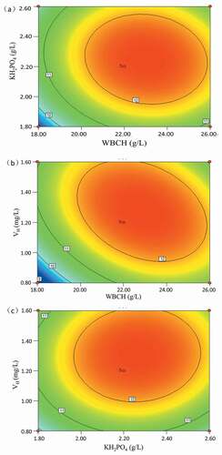 Figure 3. Combined effect of (a) WBCH and KH2PO4 concentration; (b) WBCH and VH concentration; (c) KH2PO4 and VH concentration on L-tryptophan production.