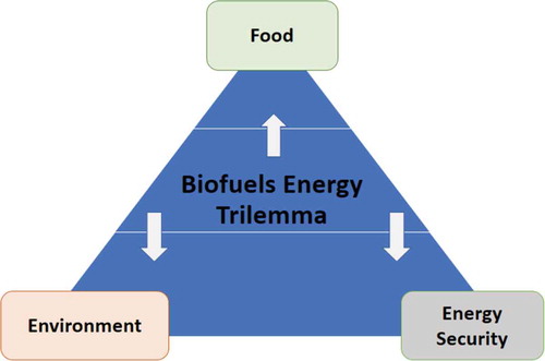 Figure 1. Energy trilemma for biofuels. Source: Authors’ own