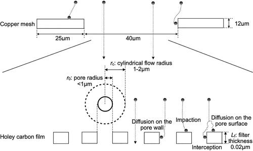 Figure 3. Aerodynamics and capture mechanisms of the filter.