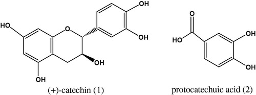 Figure 1. Structures of compounds 1 and 2 isolated from Albizia procera bark.