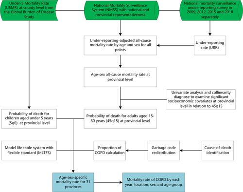 Figure 1 Flow chart of the estimation for all-cause mortality and COPD mortality.