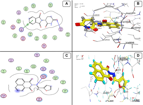 Figure 15 Docking model (A) 2D of THD fits into binding site of VEGF; (B) 3D of THD fits into binding site of VEGF; (C) 2D of TA fits into binding site of VEGF; (D) 3D of TA fits into binding site of VEGF.