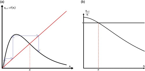 Figure 1. A single-species model with no Allee effect. (a) We plot xt+1=f(xt). There are two fixed points: x1∗=0 and x2∗=K (the carrying capacity) and (b) we plot the ‘overall’ fitness function xt+1/xt versus xt. Notice that when xt=K, the fitness function is equal to 1. Moreover, xt+1/xt>1.