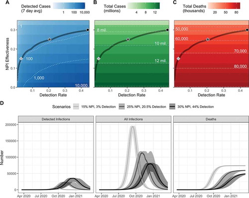 Figure 2. Low reported cases can be explained by different combinations of NPI effectiveness and detection rates. (a) The predicted number of daily cases (7 day average) that would be detected based on models of the epidemic at different combinations of NPI effectiveness and case detections rates. The dark contour line corresponds to the parameter space where the median number of predicted cases from 25 simulations equals the daily reported cases (7 day average) on June 22 (71.71 cases). High NPI effectiveness would thus require relatively high detection rates to explain the data based on these standard models. Similarly, if NPI were not effective, then the data could be explained with low detection rates. (b) Total cases after 1 year (approximating the final epidemic size) and (c) total deaths that correspond to the combination of NPI effectiveness and detection rates that explain daily cases in A. Shaded diamonds correspond to specific scenarios explored in panel D, illustrating the dynamics of detected infections, all infections, and cumulative deaths over the first year of the epidemic.