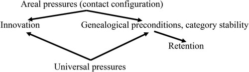 Figure 4. Schematic ontology of factors constraining language.