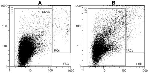 Figure 1 Gating strategy for the analysis of CNVs by FCM. 2D-plot of typical CNV isolates, prepared from blood plasma of a donor before (A) and after (B) the marathon. Gating of the CNVs and residual cells (RCs) was as indicated. The total number of events in the CNVs gate were taken.