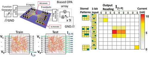 Figure 11. Top left: multi-electrode device used for Ag-NWN associative routing task. Bottom left: schematic illustrating electrode pattern training and testing in Ag-PVP NWN, showing current path between input and output channels. Right: stored (previously trained) target patterns are encoded by 1-bit inputs that show strong correlation in a 9 × 9 associativity matrix. Reprinted from Diaz-Alvarez et al. [Citation48]