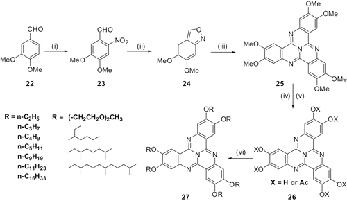 Scheme 5. Synthesis of 2,3,7,8,12,13-hexaalkoxy-TCQ derivatives: (i) HNO3, 90%; (ii) AcOH, Sn, room temperature 50%; (iii) sulpholane, AcOH, NH4OAc, reflux, 25%; (iv) HCl, Py, 230°C, 50%; (v) HCl, Py, 230°C, Py, Ac2O, 90%; (vi) KOH, DMSO, RBr, 20–80%.