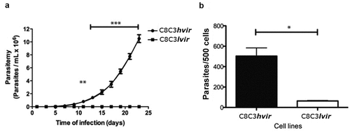 Figure 2. In vitro and in vivo infectivity of T. cruzi C8C3hvir and C8C3lvir cell lines. (a) Parasitemia curves of mice infected with trypomastigotes from either C8C3hvir or C8C3lvir. Results are expressed as the mean ± SD and represent at least 3 experiments performed in triplicate. ** P < 0.01, *** P < 0.001; Two-way ANOVA. (b) Cardiomyocytes were infected with trypomastigotes from either C8C3hvir or C8C3lvir cell lines, using a parasite/cell ratio 5:1. After 3 h, cultures were washed three times with PBS. and stained with propidium iodide. Results are expressed as the mean ± SD of parasites/500 cells from three experiments performed in triplicate. * P < 0.01; Student’s t-test.