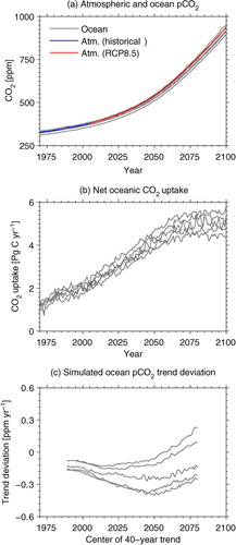 Fig. 9 Global mean time-series of (a) prescribed atmospheric and simulated ocean pCO2, (b) simulated net air–sea CO2 flux, and (c) simulated deviation of 40-yr surface ocean pCO2 trend relative to the atmospheric pCO2 trend. The pCO2 trends are over 40-yr moving windows starting from 1970–2009 and ending with 2061–2100. Each grey line represents the simulation from one model.