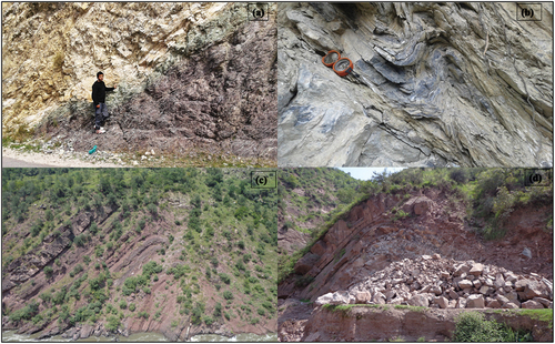 Figure 11. Intensively deformed rock formations on the southern front of Kashmir basin. (a) MCT exposure in Uri Kashmir, contact between green schist and marble (b) tightly folded and refolded Limestones, (c and d) large scale folded interbedded red sandstone and limestone at Uri Baramulla close to MCT.