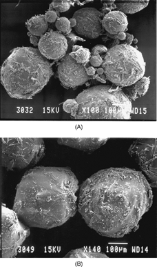 FIG. 3 The electron scanning micrographs of CBZ-PLGA microspheres, in the presence “A” or absence “B” of pluronic (0.5%) in the formulation process, respectively.