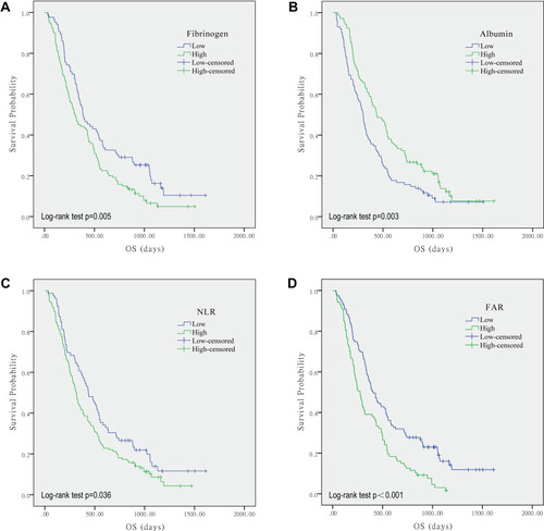 Figure 2 Kaplan–Meier curves showing overall survival of GBM patients stratified by value of fibrinogen (A), albumin (B), NLR (C), and FAR (D).