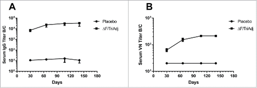 Figure 3. Long-term systemic immune responses to RSV ΔF protein. IgG (A) and VN (B) titers were measured at different times after vaccination. BALB/c mice were immunized once IN with ΔF formulated with TriAdj and a control group was immunized with PBS (Placebo). ELISA titers are expressed as the reciprocal of the highest dilution resulting in a value of two standard deviations above the negative control serum. Virus neutralization titers are expressed as the highest dilution of serum that resulted in <50% of cells displaying cytopathic effects. Symbols represent median values with interquartile ranges.