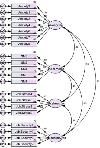 Figure 2 Measurement model.