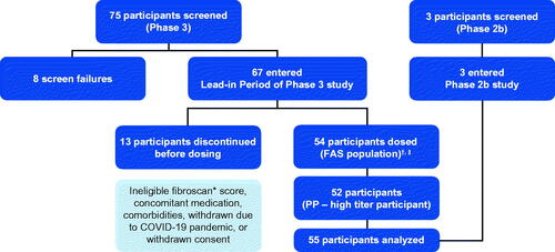 Figure 1. Analysis population. *Or equivalent scan (magnetic resonance elastography, shear wave elastography); †FAS (N = 54) included participants who enrolled, entered the lead-in period, were dosed with etranacogene dezaparvovec and provided ≥1 efficacy endpoint assessment; ‡PP population (N = 53) included all participants from the FAS who adhered to a stable and adequate prophylaxis use during the lead-in period, completed ≥18 months of efficacy assessments, and had no major protocol deviations that impacted the interpretation of efficacy. In the Phase 3 clinical trial, one participant 75 years of age, died at 464 days (∼15 months) following etranacogene dezaparvovec infusion from cardiogenic shock, preceded by a urinary tract infection, which was considered unrelated to treatment. Abbreviations. FAS, full analysis set; PP, per protocol.