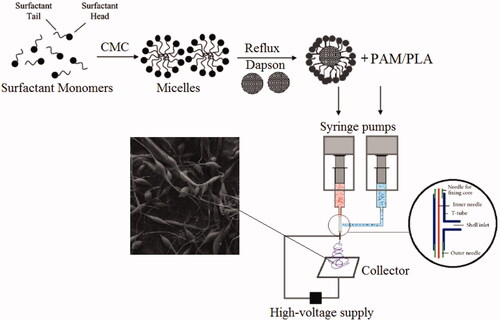 Scheme 1. The summary of the experimental method to formation of polyacrylamide/polylactic acid co-assembled core/shell nanofibers contains dapson nanoemulsion.