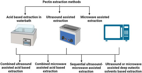 Figure 4. Extraction methods used for pectin extraction (This image was created in Biorender.com).
