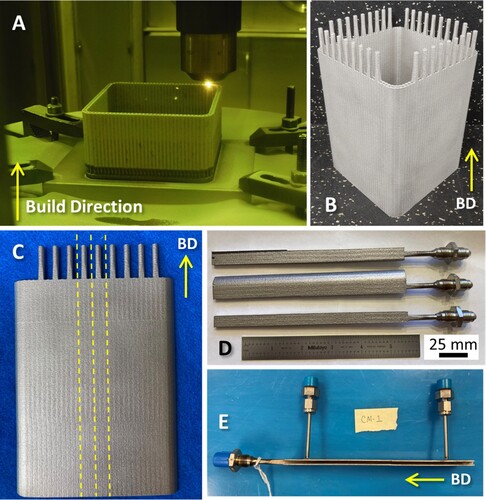 Figure 1. Channel specimen fabrication: (A) LP-DED of channel sample boxes, (B) complete NASA HR-1 box after stress relief and sectioning from the build plate, (C) Panels excised from boxes, (D) Individual channel samples with welded inlet port, and (E) drilled and welded instrumentation ports. Build Direction (BD) shown with arrow.