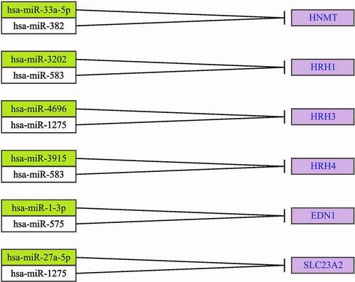 Figure 3. Quantitative real-time polymerase chain reaction analysis of mRNA expression patterns of HRH1, HRH2, HRH3, HNMT, GABRB1, GABRB2, and GABRB3 in lipopolysaccharide-stimulated/cyclosporine A-treated HaCaT cells.