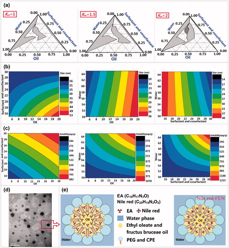 Figure 1. The formulation optimization, physical properties, morphologies, and structure schematic diagram of EFEN. (a) Ternary phase diagrams at the different Km values (Km is the mass ratio of surfactant and cosurfactant. (b) The effects of prescription components on the size and (c) solubility. (d) The transmission election photomicrograph of EFEE. (e) Schematic illustration of EFEE and Nile red-labeled FEN.