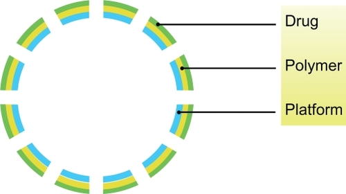 Figure 1 Schematic representation of the structure of a conventional DES.