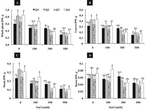 Figure 1. Varietal difference in plant growth parameters; Dry Weight of Whole plant (A), leaves (B), Stems (C) and Roots (D) of quinoa genotypes cultivated under different NaCl concentrations (0, 100, 300 and 500 mM) during 15 days of treatment. Data are means of 6 replicates ± SE. Means with similar letters are not different at P < 0.05 according to Duncan’s multiple range test at 95%.