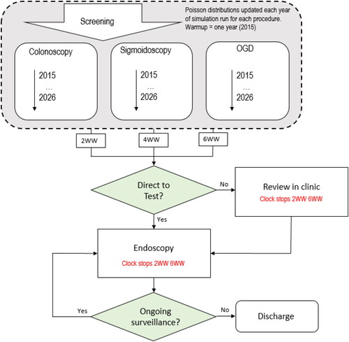 Figure 6. Flowchart of Endoscopy Services.