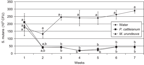 Figure 2.  Streptococcus mutans counts from oral biofilm of rats from different experimental groups in time (mean ± SD, n = 10). Distinct letters show statistical difference between treatments within the same period or between the same treatment along the whole experiment (p <0.05).