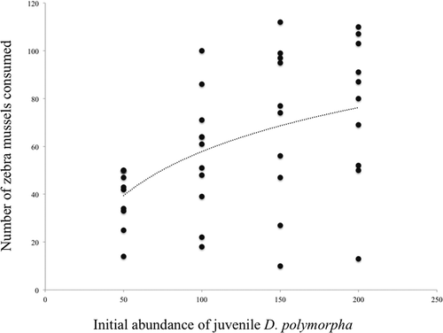 Figure 1. Number of juvenile zebra mussels (Dreissena polymorpha) consumed, in 24 hours, according to their availability. The dotted line shows the function that best describes the predatory behaviour of crayfish faced with increasing numbers of prey (see text for the mathematical expression of this function).
