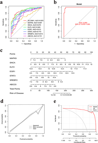 Figure 4 ROC curve and nomogram model based on 8 diagnostic biomarkers. (a) ROC curves for the 8 diagnostic biomarkers. (b) a Logistic regression model was constructed to identify the OM samples. (c) Nomogram of 8 gene biomarkers in the diagnosis of OM patients. (d) Calibration curve. (e) Decision curve analysis of the nomogram model.