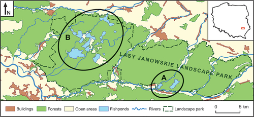 Figure 1. Map of the study area in 2010–2012: A – two fishpond complexes with breeding Little Bitterns (Stawy Małe, Stawy Duże; total area 200 ha), B – six fishpond complexes without breeding Little Bitterns (Pieńki, Imielty Ług, Brzeziny, Maliniec, Osówek, Świdry; total area 1180 ha).