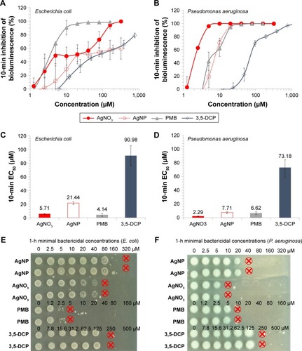 Figure 2 Toxicity of AgNO3, AgNP, PMB, and 3,5-DCP to bioluminescent E. coli and P. aeruginosa.Notes: (A, B) Dose-response curves (inhibition of bioluminescence in bacteria) after 10-minute exposure to Ag compounds, PMB, and 3,5-DCP in MOPS-Tris buffer. (C, D) 10-minute EC50-s calculated from the dose-response curves presented in panels (A and B), n=5; average ± SD is shown. (E, F) Minimal bactericidal concentrations of Ag compounds, PMB, and 3,5-DCP after 1-hour incubation (1-hour MBC, µM). Red circles mark the MBC values. Data of two replicates for each compound are presented.Abbreviations: AgNP, silver nanoparticles; PMB, polymyxin B; 3,5-DCP, 3,5-dichlorophenol; EC50, the concentration of a compound reducing the bacterial bioluminescence by 50% after being in contact for 10 minutes; MBC, minimal bactericidal concentration.