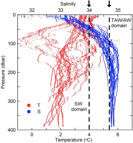 Fig. 2  Temperature and salinity profiles for the Isfjorden domain, autumn 2007–2009. Salinity of 34.0 and 34.7 are depicted by black dashed lines. Surface Water (SW), Transformed Atlantic Water (TAW) and Atlantic Water (AW) are indicated.