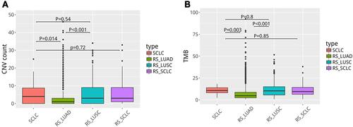 Figure 3 Gene copy number variation (CNV) (A) and tumor mutation burden (TMB) (B) in our SCLC cohort differ from lung adenocarcinoma.