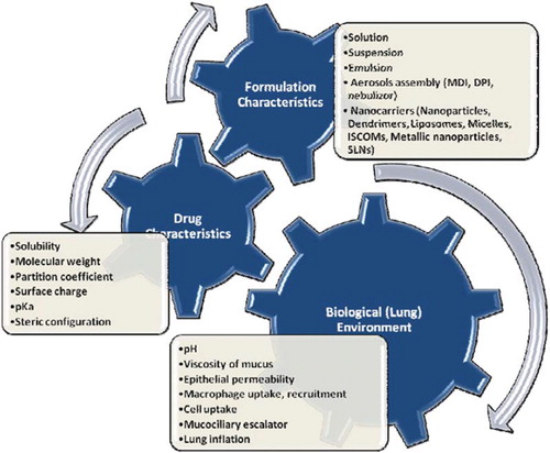 Figure 3. Factors modifying drug clearance and bioavailability.