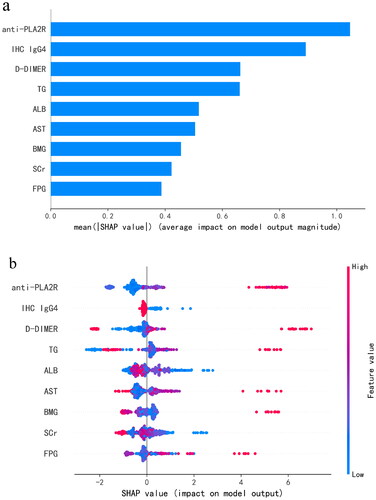 Figure 5. (a) Importance matrix plot of the LightGBM model. (b) SHAP summary plot of the nine clinical and pathological features of the LightGBM model. There is one dot per patient per feature colored according to an attribution value, where red represents a higher value and blue represents a lower value. anti-PLA2R: anti-phospholipase A2 receptor; IHC IgG4: immunohistochemical immunoglobulin G4; D-DIMER: D-dimer; TG: triglyceride; ALB: significantly lower serum albumin; AST: aspartate transaminase; BMG: β2-microglobulin; SCr: serum creatinine; FPG: fasting plasma glucose.