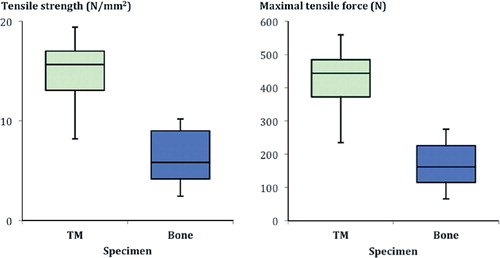 Figure 4. Box plot of the maximal tensile force and tensile strength shown by the porous metal (TM) and the bone specimens.