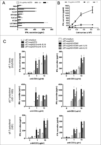 Figure 4. Soluble IL-18 secreted by cancer cells and HCMV-infected cells enhances IFNγ production by human Vδ2neg γδ T cells, in a TCR-dependent manner. (A) Conditioned culture supernatants of various cancer cell lines, or fresh media, were isolated after 48 h at 37°C, cleared by centrifugation, and incubated with a Vδ1 γδ T polyclonal cell line in the presence of various concentrations of coated anti-CD3 for 24 h at 37°C. IFNγ secretion was then measured by ELISA from cell culture supernatants (mean ± SD; n = 3). Results are normalized by the same amount of cells used for each cancer cell line. (B) Conditioned culture supernatants from various amounts of U373MG cancer cells, or fresh media, were isolated after 48 h at 37°C, cleared by centrifugation, and incubated with a Vδ1 γδ T polyclonal cell line in the presence of anti-CD3 for 24 h at 37°C. IFNγ secretion was then measured by ELISA from cell culture supernatants (mean ± SD; n = 3). (C) Conditioned culture supernatants of U373MG cancer cells, or HUVECs infected or not with HCMV (MOI 10), or fresh media, were isolated after 48 h at 37°C, cleared by centrifugation, and incubated with Vδ2neg γδT cells in the presence of anti-CD3 with or without anti-IL-18 or control anti-IL-10 antibodies (10 μg/mL). After 24 h at 37°C, IFNγ secretion was measured by ELISA from cell culture supernatants (mean ± SD; n = 3). As indicated, Vγ2Vδ3 T cell clone, Vδ1, and Vδ1+3 polyclonal cell lines were tested. ★, P < 0.05.
