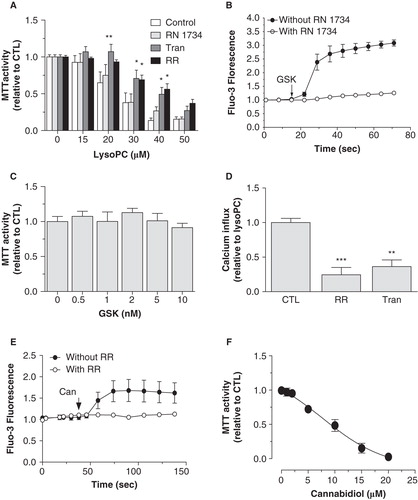 Figure 7. Involvement of TRPV activation in lysoPC-induced cell death of MG-63 cells. (A) Dose-response curve of MTT activity (relative to control without lysoPC) following 48-h exposure to increasing concentrations of lysoPC in culture medium alone (Control) or with 10 μM RR, 30 μM RN 1734 or 100 μM Tranilast (Tran). Results are from five independent experiments in triplicates. Bonferroni post test: *p < 0.05, **p < 0.01 when compared to control condition. (B) Cells loaded with Fluo-3 were transferred to fresh HBSS with 2.5 mM calcium. Thereafter, cells were preincubated for 5 min without or with 30 μM RN 1734. After, GSK1016790A (GSK, 10 nM) was added to the incubation medium and fluorescence was measured. Values are mean ± SEM of the relative fluorescence compared to basal level of five individual experiments with analyses of 7–8 fields per experiment (between 10 and 20 cells per field). (C) Dose-response curve of MTT activity (relative to control without GSK) following 48-h exposure to increasing concentrations of GKS1016790A in serum-free culture medium. Values are mean ± SEM of three independent experiments performed in triplicates. (D) Fluo-3 loaded cells were transferred to HBSS without calcium and then lysoPC (10 μM) were added to the incubation medium. Thereafter, calcium was added to the incubation buffer to determine calcium influx. Fluorescence values corresponding to calcium influx relative to calcium influx induced by lysoPC are showed as mean ± SEM of 3–5 experiments with analyses of 7–8 fields per experiment (between 10 and 20 cells per field). Dunnett post test: **p < 0.01, ***p < 0.001 when compared to control condition with lysoPC alone. (E) Cells loaded with Fluo-3 were transferred to fresh HBSS with 2.5 mM calcium. Thereafter, cells were preincubated for 5 min without or with 10 μM RR. After, cannabidiol (Can, 10 μM) was added to the incubation medium and fluorescence was measured. Values are mean ± SEM of three individual experiments with analyses of 7–8 fields per experiment (between 10 and 20 cells per field). (F) Dose-response curve of MTT activity (relative to control without cannabidiol) following 48-h exposure to increasing concentrations of cannabidiol in serum-free culture medium. Values are mean ± SEM of four independent experiments performed in triplicates. One-way ANOVA, p < 0.0001.