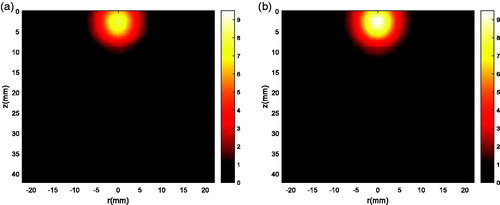 Figure 8. Estimated temperature variation on a longitudinal cut through the centre of the phantom at t = 90 s: (a) Laser power P1; (b) Laser power P2.
