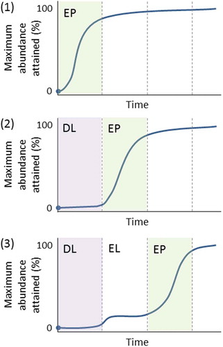 Figure 13. The changing relative abundance expressed as a percentage of the maximum attained values of tree taxa through time in Britain and Ireland. The top panel (1) shows how relative abundance changes through time in the absence of any detectable dispersal limitation or expansion limitation, as shown by the Holocene behaviour of Corylus, Populus, Salix, or Ulmus. The middle panel (2) shows relative abundance changes for taxa that experience dispersal limitation but little or no expansion limitation (e.g. Betula, Pinus). The bottom panel (3) shows relative abundance changes for taxa that may experience not only dispersal limitation but also prolonged expansion limitation (e.g. Alnus, Carpinus, Fagus) that may extend for 2000–3000 years. Of these, Alnus is the most extreme in its expansion limitation due to the rarity of its 'island-like' wet habitats. There are not enough detailed data to assess the long-term behaviour of Fraxinus, Quercus, or Tilia.DL = Dispersal limitation; EL = Expansion limitation; EP = Expansion phase.