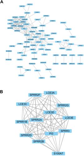 Figure 3 PPI network of differentially expressed genes. (A) PPI network of DEGs constructed by STRING and visualized using Cytoscape. (B) The significant module was identified from the PPI network.